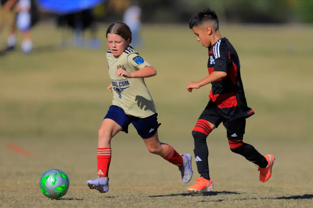 Phoenix Cup Fields